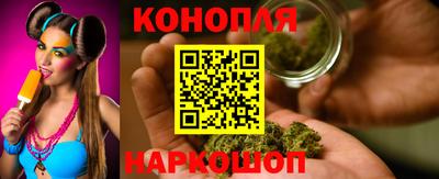 гидропоника Будённовск
