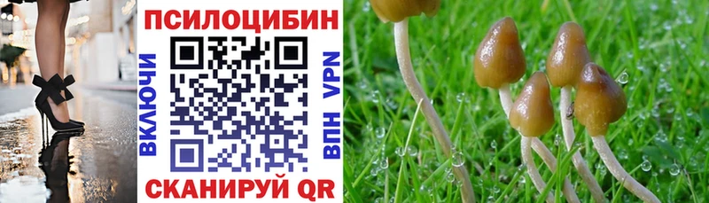 Псилоцибиновые грибы MAGIC MUSHROOMS darknet телеграм Первоуральск
